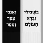 Hasidic Wearable Parable Socks