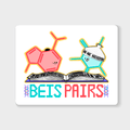 Beis Pairs Magnet